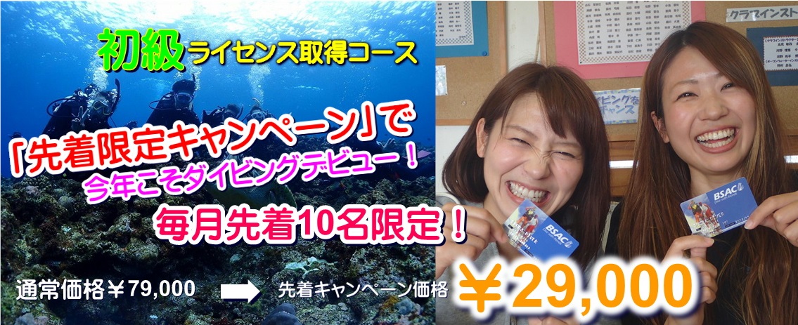 ダイビングライセンス取得 海底少年 徳島 香川 高知 愛媛からお申込みいただいています 先着10名限定キャンペーン中