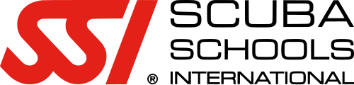 SSI