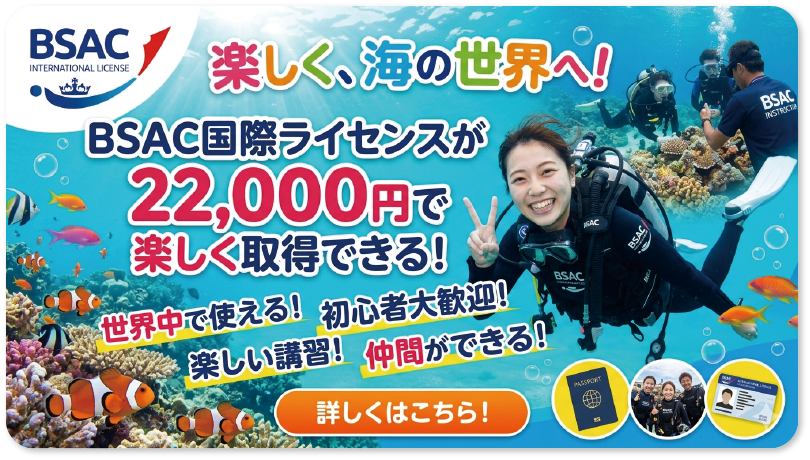 スライド画像