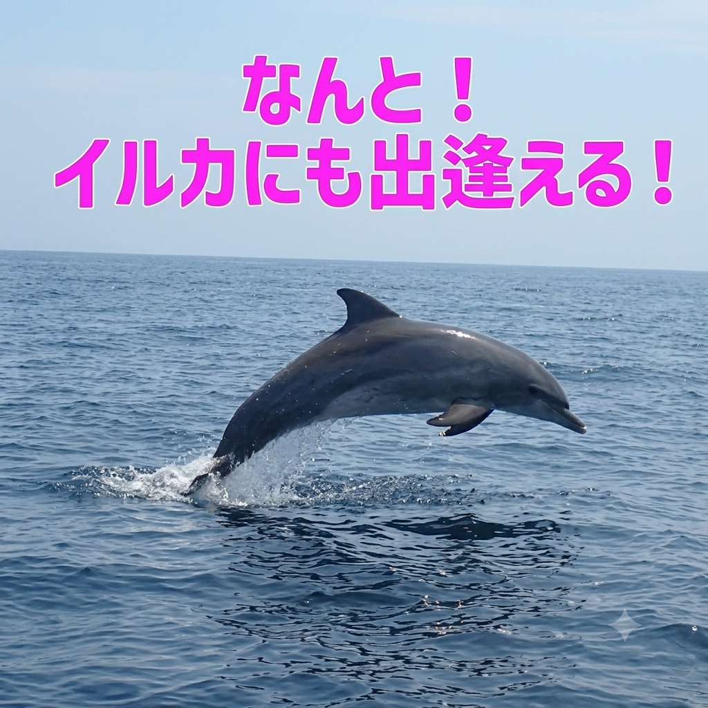 トピック画像