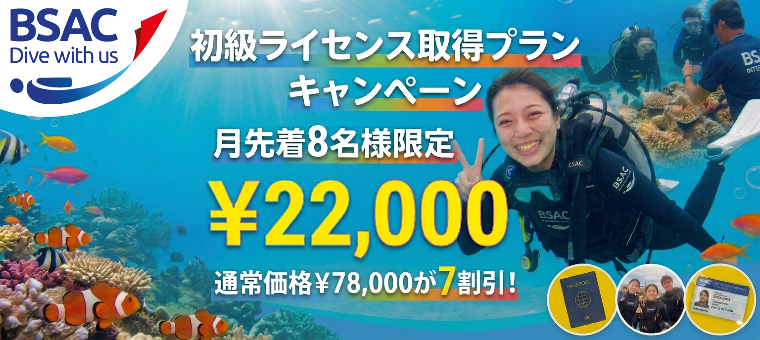 セクションバナー